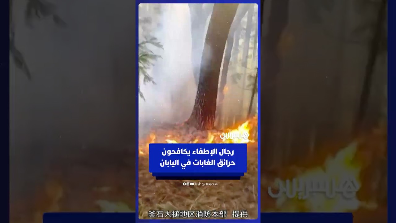 رجال الإطفاء يكافحون حرائق الغابات في شمال اليابان thumbnail