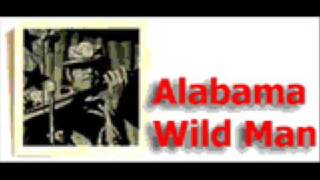 Jerry Reed - Alabama Wildman