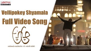 Yellipoke Syamala Full Video Song  A Aa Full Video