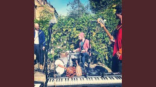 Honey Cats (Paul White's Seagull Mansion Live Version)