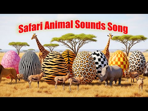 Safari Animal Sounds Song | Egg Animals | Zazzy Melody