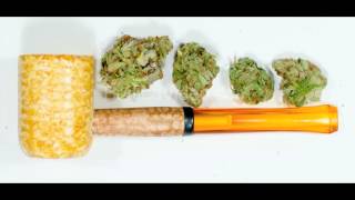 Wildwood Weed by Jim Stafford, A Tribute