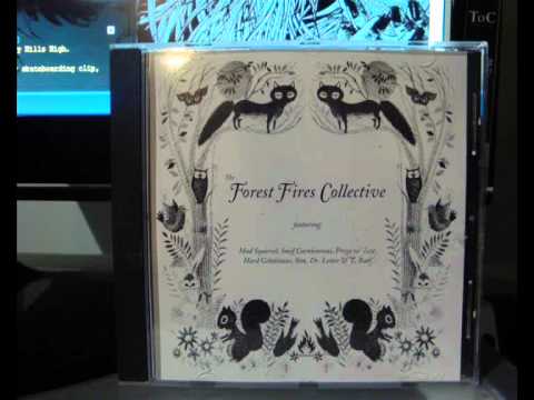 The Forest Fires Collective - Witness Protection