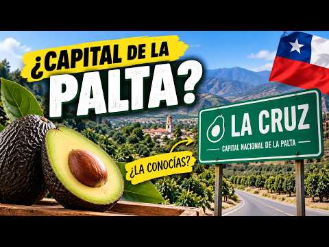 ¿Conoces la capital de la Palta? | Recorriendo La Cruz, tranquila comuna de la Región de Valparaíso