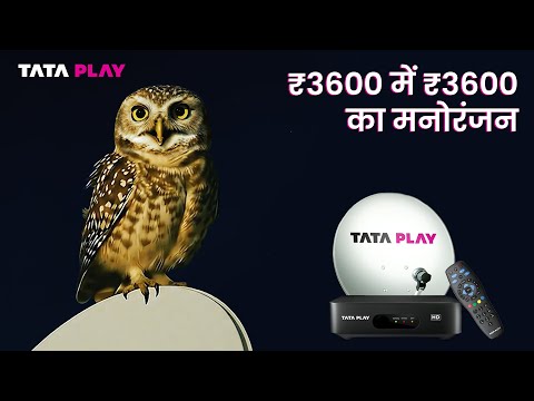 Tata Play Dhamaka Offer—Deposit ₹3600 & Get Amazing Benefits! Watch full video to know all the perks