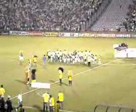 Festa Da Torcida -Palmeiras 2 x 1 Ponte preta - Tv Alviverde