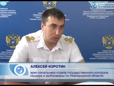 В Новгородской области рыбалку ограничили суточными нормами