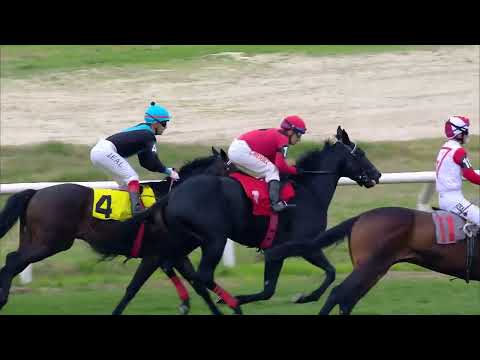 230709 c05 CAGLIOSTRO (BRZ)