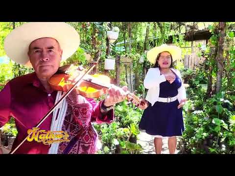 NATIVOS DE CAJAMARCA LA CORRUPCIÓN  - PRIMICIA 2025