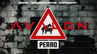 Perro Music Video
