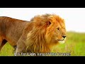 ABC Animal Adventure Song For Kids Learn The Alphabet With Fun Animal Facts Sounds