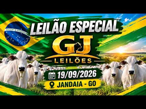 GJ LEILÕES - LEILÃO ESPECIAL 19/09/2026 - JANDAIA GOIAS