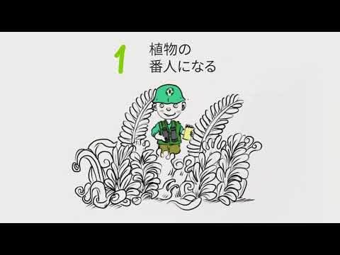 火星: 目立たない植物が私たちの生存を保証する可能性がある