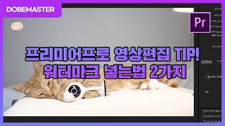 프리미어프로 영상 워터마크 넣는 방법 2가지 TIP! / premiere pro tutorial