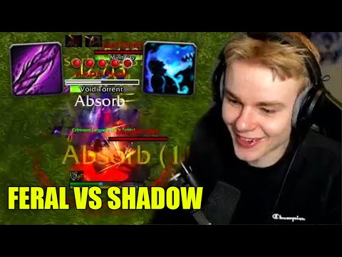 Feral Druid vs Shadow Priest In 10.2 (PTR)