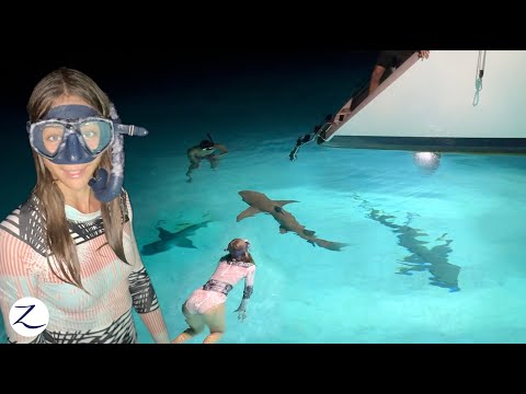 SHARKS SWARM our boat (so we SWIM with them!) Ep 275