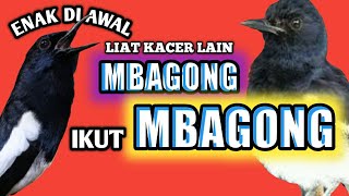 Download lagu penyebab dan solusi kacer mbagong di akhir penilaian lomba mp3