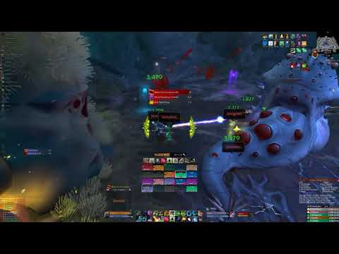 Reason Guild vs Mythic G'Huun US Zul'Jin Resto Druid POV