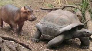 He Was a Friend of Mine