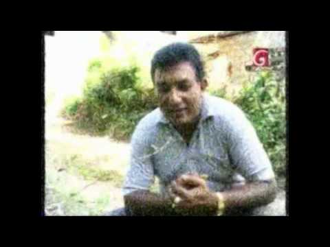 Astrologer M C Perera