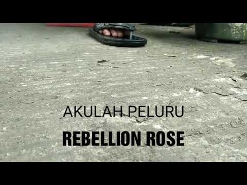 Akulah Peluru | Santri Video Cover | Rebellion Rose feat Warlord JRX