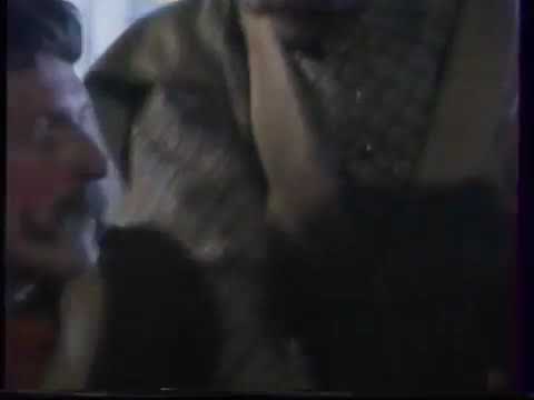 Reklama Pollena 2000 1992