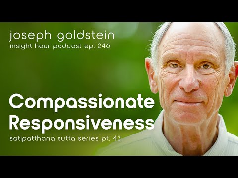 Compassionate Responsiveness with Joseph Goldstein – Insight Hour Ep.246 – Sutta Series Pt.43