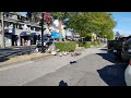 Seagulls Eating Pizza
