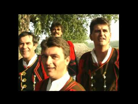 KLAPA MASLINA - OSTALA SI ISTA