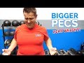 PECS Workout Without Weights 🔥 5 Minute Follow Along Routine
