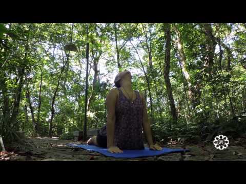 Yantra Yoga Brasil - Haimavati Nakai