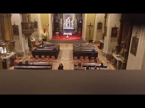 JKS 345( Matka lásky a milosti)