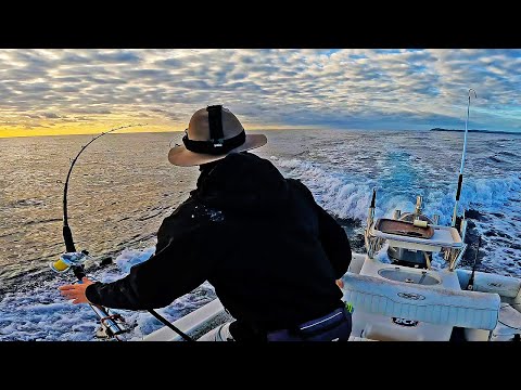 Surprising Mahi Mahi technique + full rundown of 'The Incident'