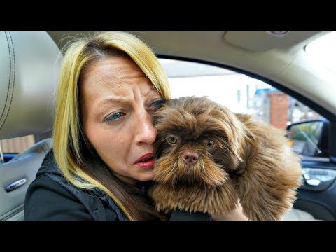 ¡¡¡REGALANDO EL CACHORRO DE TIANA!!!