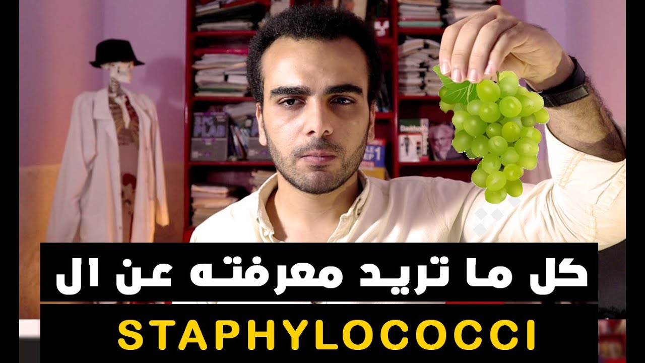 MICROBIOLOGY CRASH COURSE| 2 Staphylococci