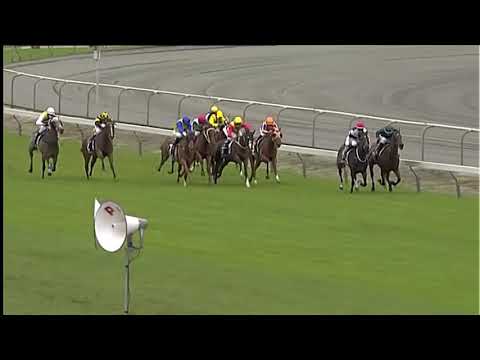 Race Replay: Matamata Breeders Stakes - 23 February