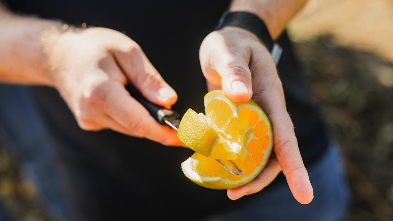 Kings River Packing: Eight Generations of California Citrus