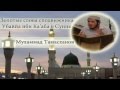 Мухьаммад Тамасханов - Золотые слова о Сунне - Убайй ибн КаIб 