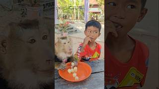 Download lagu Best Video Of SokYaa,OG, To To And Mom Are Famous & Amazing #shorts mp3 Download lagu Best Video Of SokYaa,OG, To To And Mom Are Famous & Amazing #shorts mp3