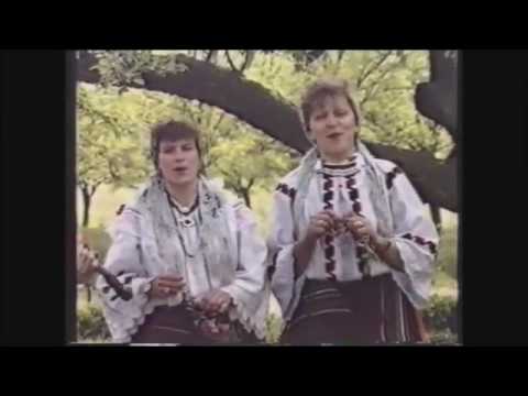 Tajne Uspomene - O Drugo Slapničko sijelo (Official Video)