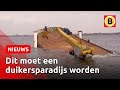 Dit enorme scheepswrak laten ze opzettelijk zinken | Omroep Brabant