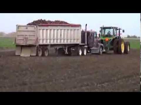 Sugar Beet harvest in Minnesota 2013