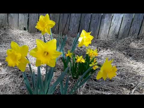 On a hill at the DMZ (디엠지 동산에서)