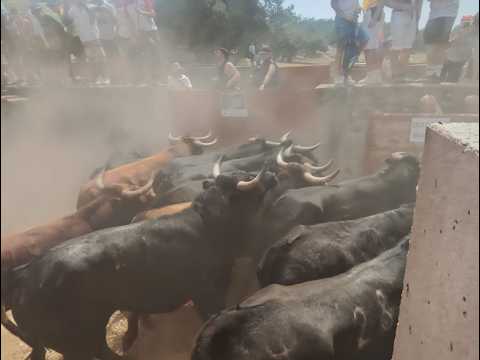 Vídeo realizado desde el chiringuito de la peña La Ilusión por un autor sin identificar.