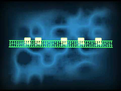Genome Sequence Scanning from PATHOGENETIX