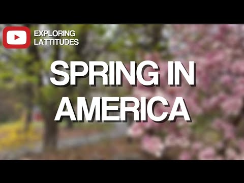 Springtime Magic in America | Pink Blossoms Along the Roads | Spring Vibes 2025