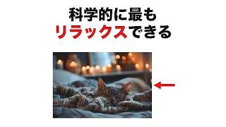 【面白雑学】家でリラックスする方法10選　　　　#リラックス #ストレス解消 #健康 #メンタルヘルス #睡眠