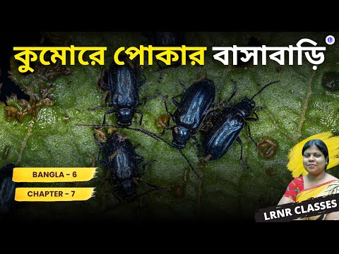 Chapter 7 Kumore Pokar Basabari by Gopalchandra Bhattacharya | কুমোরে পোকার বাসাবাড়ি -গোপালচন্দ্র ভট্টাচার্য 