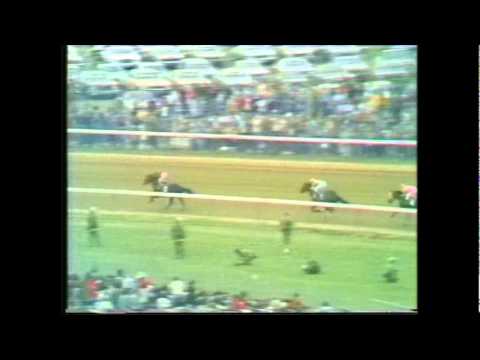 Bold Forbes - Kentucky Derby 1976