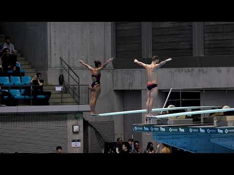 FINA/CNSG Diving World Series 2019 Sagamihara: Mixed 3m Synchro Springboard